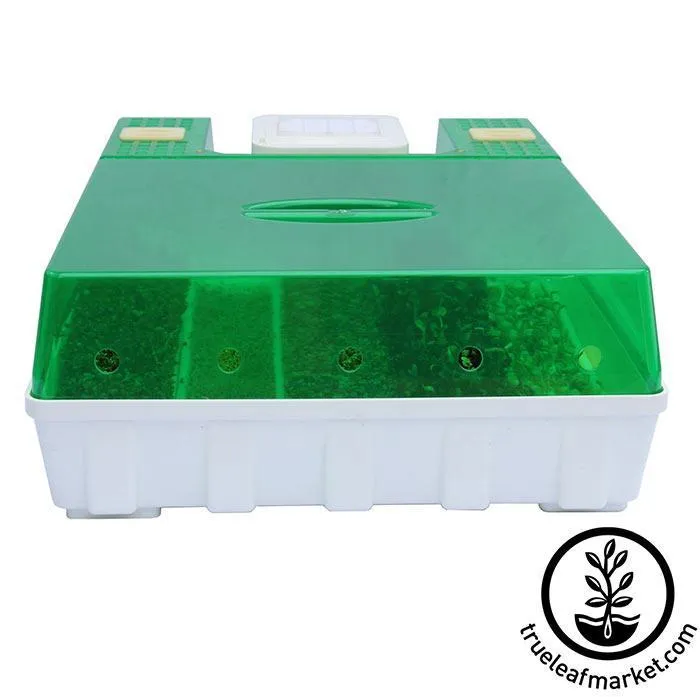 Easygreen Seed and Microgreens Sprouter