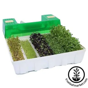 Easygreen Seed and Microgreens Sprouter