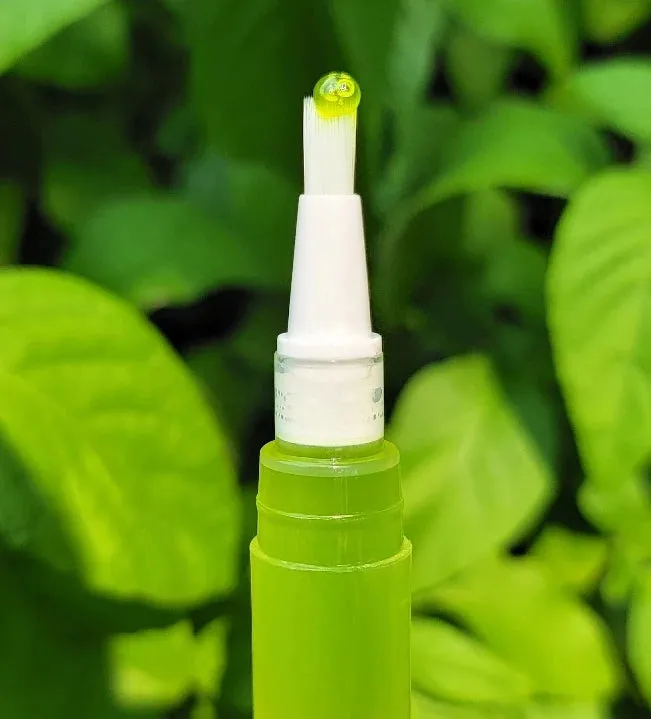 NEW Green Apple Juicy Clear Lip Gloss   Vitamin E