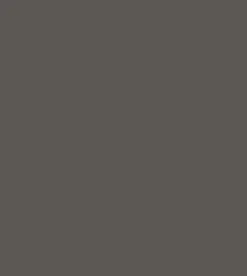 Technic Duo Colour Eyebrow Pencil (0.5gm)