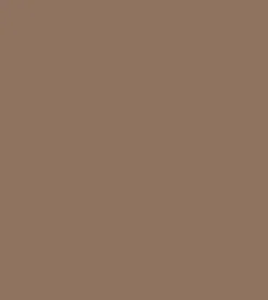 Technic Duo Colour Eyebrow Pencil (0.5gm)