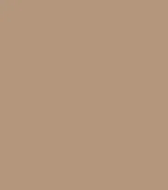 Technic Duo Colour Eyebrow Pencil (0.5gm)